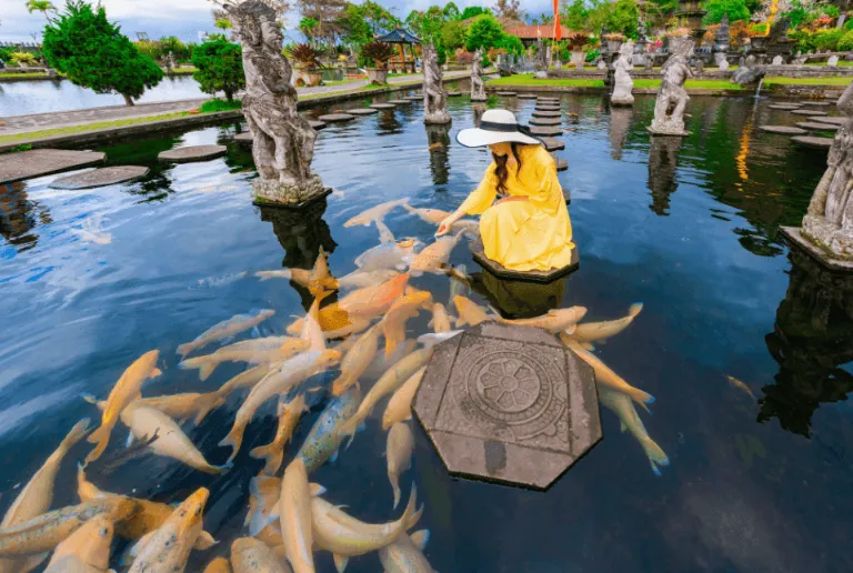 Koi Pond
